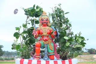 Sura Samhara marks the defeat of the Demon Surapadman