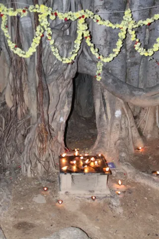 http://nithyananda.org/sites/default/files/photo-gallery/2015-11nov-25th-nithyananda-diary_IMG_1619_blr-adheenam-nithyanandeshwara-brahmotsavam-evening-karthigai-deepam-banyan.JPG