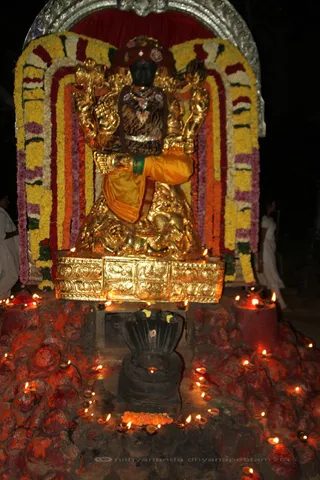http://nithyananda.org/sites/default/files/photo-gallery/2015-11nov-25th-nithyananda-diary_IMG_1627_blr-adheenam-nithyanandeshwara-brahmotsavam-evening-karthigai-deepam-daskshinamurthy.JPG