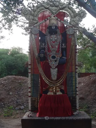 http://nithyananda.org/sites/default/files/photo-gallery/2015-12dec-24th-nithyananda-diary_DSC00158_bidadi-nithyananda-brahmotsava-jayanthi-temple-prasad-tiruvannamalai-nithyanandeshwari-temple.JPG