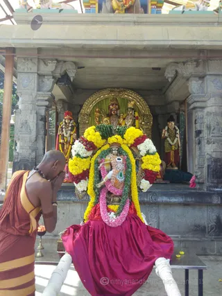 http://nithyananda.org/sites/default/files/photo-gallery/2015-12dec-26th-nithyananda-diary_IMG_20151226_133947_BURST1_bidadi-nithyananda-jayanthi-brahmotsavam-aarudra-darshan-temple.jpg