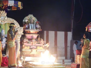 http://nithyananda.org/sites/default/files/photo-gallery/2015-12dec-27th-nithyananda-diary_DSC00055_bidadi-nithyananda-jayanthi-brahmotsava-rudra-homa.JPG