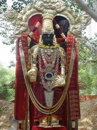 http://nithyananda.org/sites/default/files/photo-gallery/2015-12dec-28th-nithyananda-diary_DSC00062_1_bidadi-nithyananda-jayanthi-brahmotsava-alankara-venkateshwara-temple.JPG