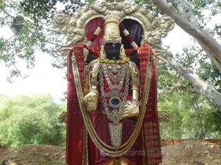 http://nithyananda.org/sites/default/files/photo-gallery/2015-12dec-28th-nithyananda-diary_DSC00065_1_bidadi-nithyananda-jayanthi-brahmotsava-alankara-venkateshwara-temple.JPG