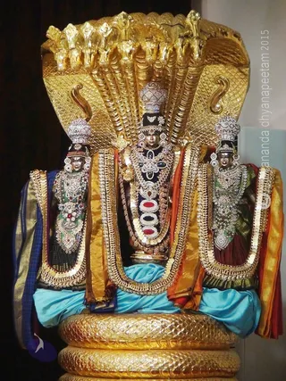 http://nithyananda.org/sites/default/files/photo-gallery/2015-12dec-28th-nithyananda-diary_DSC00073_bidadi-nithyananda-jayanthi-brahmotsava-alankara-corel-rock-deities-rajasabha.JPG