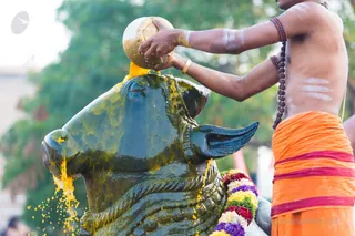 Rudra Abhishekam - Nandi