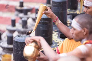 Morning Rudrabhishekam