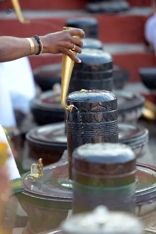 http://nithyananda.org/sites/default/files/photo-gallery/2016-11nov-25th-nithyananda-diary_DSC_8408_bengaluru-aadheenam-rudrabhishekam.jpg