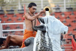 Rudra Abhishekam