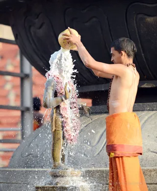 Photo 11698563