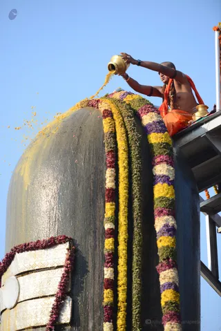 http://nithyananda.org/sites/default/files/photo-gallery/2016-12dec-26th-nithyananda-diary_DSC_6174_bengaluru-aadheenam-vaidya-sarovar-rudrabhishekam.jpg