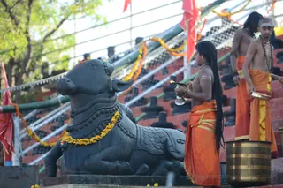 Rudra Abhishekam - Nandi