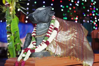 Nandi oversees the sacred event.