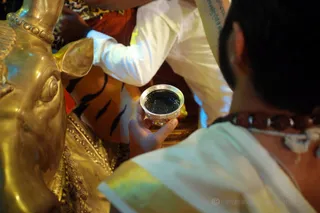 The Sacred Biomemory of Sadashiva called Jnananjanam or enlightenment eyeliner.