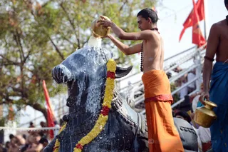 http://nithyananda.org/sites/default/files/photo-gallery/2016-12dec-4th-nithyananda-diary_DSC_1719_bengaluru-aadheenam-rudrabhishekam-swamiji.jpg