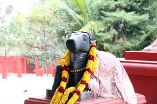 http://nithyananda.org/sites/default/files/photo-gallery/2016-12dec-5th-nithyananda-diary_IMGL6429_bengaluru-aadheenam-sadashivoham-day5-nithyanandeshwara-temple.jpg