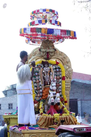 Afternoon procession with the Deities
