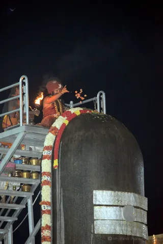 http://nithyananda.org/sites/default/files/photo-gallery/2016-12dec-8th-nithyananda-diary_DSC_4455_bengaluru-aadheenam-sadashivoham-day8-evening-rudrabhishekam-avatar-swamiji.jpg