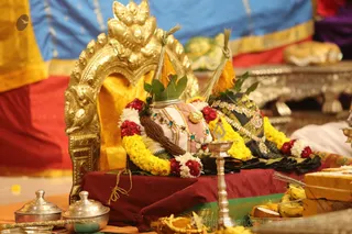 http://nithyananda.org/sites/default/files/photo-gallery/2016-1jan-2nd-nithyananda-diary_5F0A9107_bidadi-jayanthi-brahmotsavam-meenakshi-sundareshwara-thirukalyanam-ceremony.JPG