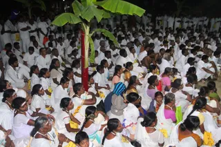 http://nithyananda.org/sites/default/files/photo-gallery/2016-1jan-2nd-nithyananda-diary_IMG_9162_bidadi-jayanthi-brahmotsavam-pada-yatra-arrival-temple-crowd-participants.jpg