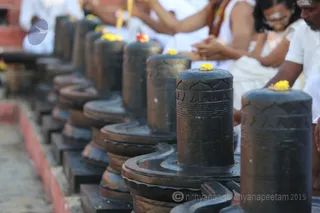 http://nithyananda.org/sites/default/files/photo-gallery/2016-1jan-3rd-nithyananda-diary_5F0A1420__bidadi-jayanthi-avatar-day-rudrabhishekam.JPG