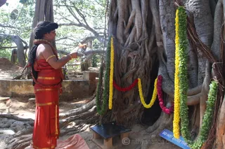 http://nithyananda.org/sites/default/files/photo-gallery/2016-1jan-3rd-nithyananda-diary_IMG_9526_bidadi-jayanthi-avatar-day-temple-swamiji.JPG