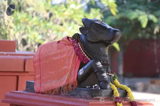 Ananda Nandi