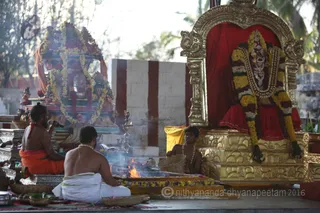 http://nithyananda.org/sites/default/files/photo-gallery/2016-2feb-16th-nithyananda-diary_IMG_0905_bengaluru-aadheenam-IA-day13-rajarajeshwari-brmtsvm-srividya-homa.JPG