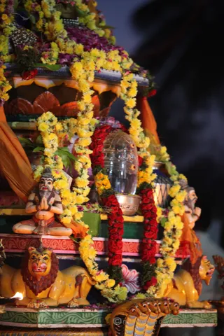 http://nithyananda.org/sites/default/files/photo-gallery/2016-2feb-16th-nithyananda-diary_IMG_0937_bengaluru-aadheenam-IA-day13-rajarajeshwari-brmtsvm-srividya-homa.JPG