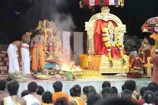 http://nithyananda.org/sites/default/files/photo-gallery/2016-2feb-16th-nithyananda-diary_IMG_0958_bengaluru-aadheenam-IA-day13-rajarajeshwari-brmtsvm-srividya-homa-swamiji.JPG