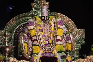 http://nithyananda.org/sites/default/files/photo-gallery/2016-2feb-17th-nithyananda-diary_IMG_3574_bengaluru-aadheenam-IA-day14-rajarajeshwari-brahmotsavam-alankar.JPG