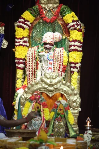http://nithyananda.org/sites/default/files/photo-gallery/2016-2feb-19th-nithyananda-diary_IMG_4451_bengaluru-aadheenam-IA-day16-meenakshi-thirukalyanam.JPG