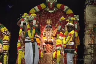 http://nithyananda.org/sites/default/files/photo-gallery/2016-2feb-19th-nithyananda-diary_IMG_4537_bengaluru-aadheenam-IA-day16-meenakshi-thirukalyanam.JPG