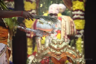 http://nithyananda.org/sites/default/files/photo-gallery/2016-2feb-19th-nithyananda-diary_IMG_4615_bengaluru-aadheenam-IA-day16-meenakshi-thirukalyanam-swamiji.JPG