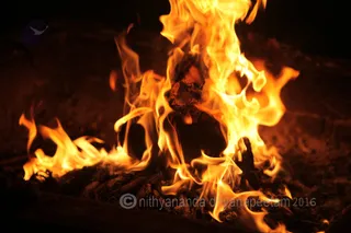 Photo 11701315