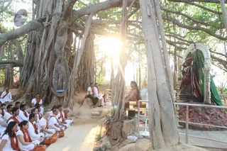 Upanishads, sitting with His Holiness, under the Sacred Banyan Tree