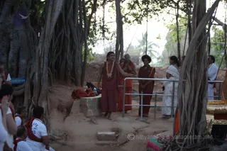 http://nithyananda.org/sites/default/files/photo-gallery/2016-4apr-1st-nithyananda-diary_IMG_7080-bengaluru-aadheenam-IA-day18-banyan-tree-upanishad-swamiji.jpg