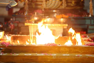 http://nithyananda.org/sites/default/files/photo-gallery/2016-4apr-1st-nithyananda-diary_IMG_7086-bengaluru-aadheenam-IA-day18-sri-vidya-homa.jpg
