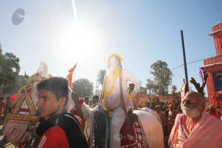 Photo 11702325