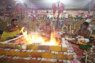 http://nithyananda.org/sites/default/files/photo-gallery/2016-5may-15th-nithyananda-diary_IMG_6206_ujjain-aadheenam-kumbh-mela-camp-temple-homa.jpg