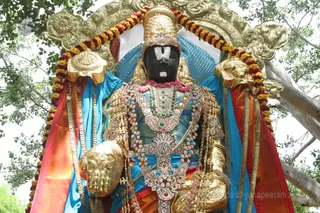 http://nithyananda.org/sites/default/files/photo-gallery/2016-6june-14th-nithyananda-diary_IMG_2639_bengaluru-aadheenam-nithyanandeshwara-temple-deities-venkanteshwara.jpg