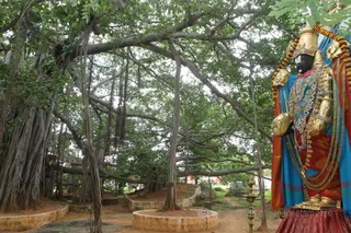 http://nithyananda.org/sites/default/files/photo-gallery/2016-6june-14th-nithyananda-diary_IMG_2650_bengaluru-aadheenam-nithyanandeshwara-temple-deities.jpg