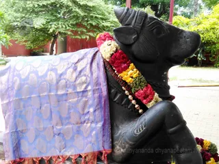 Nandi