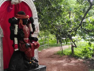 http://nithyananda.org/sites/default/files/photo-gallery/2016-6june-25th-nithyananda-diary_IMG_20160625_075807_bengaluru-aadheenam-nithyanandeshwara-temple.jpg