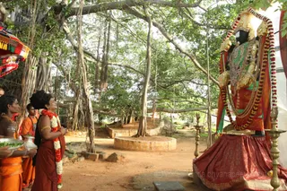 http://nithyananda.org/sites/default/files/photo-gallery/2016-6june-7th-nithyananda-diary_IMG_1426_bengaluru-aadheenam-welcome-home-swamiji.jpg