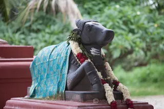 http://nithyananda.org/sites/default/files/photo-gallery/2016-7july-23rd-nithyananda-diary_IMG_6979_bengaluru-aadheenam-nithyanandeshwara-temple-deities.jpg