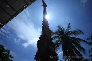 Flap pole