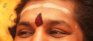 Energy Darshan - His Holiness transmits the Divine Consciousness
