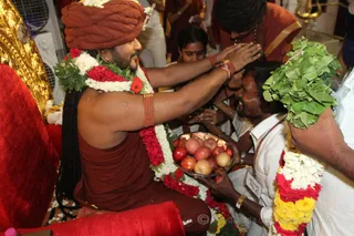 Kalpataru Darshan