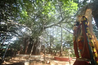 Glimpses of Nithyanandeshwara Temple